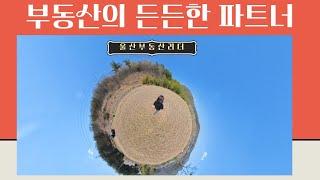 부동산의 든든한 파트너 울산부동산리더#울산부동산리더#울산부동산#울산촌집#울산주택#울산토지