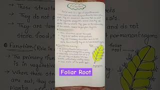 foliar root || morphology in flowering plants #biology #botany #shorts #ytshorts #viral #trending