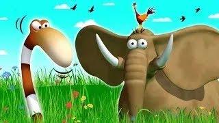 Gazoon | Gardening | Funny Animal Cartoons For Kids