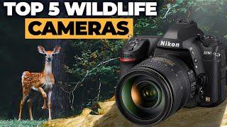 Top 5 Best Cameras For Wildlife Photography