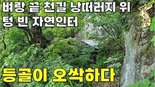 임장하다가 발견한 천길 낭떠러지 위 샘물 쏟아지는 국유림 속~텅빈 자연인터[땅지통]