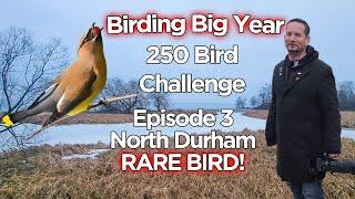 Birding Big Year - 250 Bird Challenge - Durham Ontario  ** RARE BIRD ** Ep 3