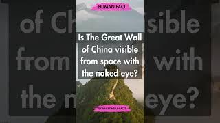 Fun Fact Frenzy: HUMAN #funfacts #Didyouknow
