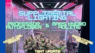 Supplemental Lighting, Professor Autoflower & Mars Hydro Adlite, Night Owl & Frostfire under FC-3000