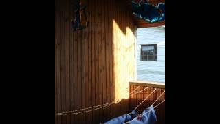 Shade TimeLapse