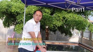 Hlub tsis kawg ntsis vim kuv niam thiab kuv txiv part1 5/15/2025