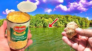 How To Catch TONS Of Carp The Simple and Easy Way!