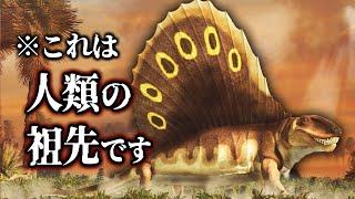 【ゆっくり解説】ペルム紀の覇者　巨大な帆を持つディメトロドンとは何者か？