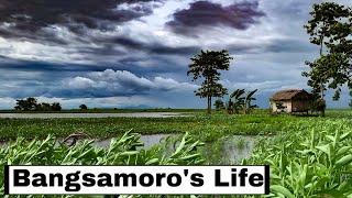 Bangsamoro’s Fishing Life | Fish Trapping in Ligawasan Marsh Philippines | Locals life