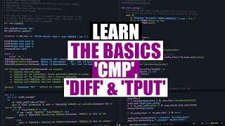 Three Amazingly Useful Linux Commands (cmp, diff, tput)