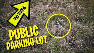 PUBLIC LAND BUCK Bedded by the Access! - Flash Back Hunt That Taught Me Something