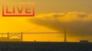  San Francisco Skyline LIVE · hosted by Mersea Restaurant  Treasure Island