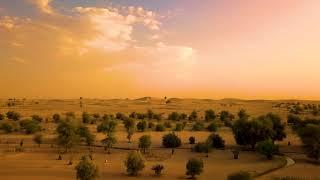 Professional Drone Footage of a Dubai Desert Oasis