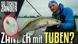 Zanderangeln mit der Tube? So ticken Zander!