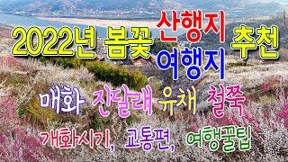 4월과 5월에 가면 좋은 봄꽃 산행지 여행지 추천 7곳 / 개화시기와 교통 그리고 꿀팁까지