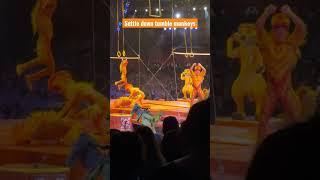 Tumble Monkeys annoying Timon in Lion King Live at Disney’s Animal Kingdom #disney #lionking #timon