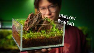 First time attempting a shallow Iwagumi scape...