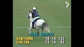 1984 Qualifying Final - Hawthorn vs Carlton at Waverley Park.