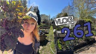 Planting out, Compost Trips and Cucurbit Sowing frenzy… Ep261 || Plot 37