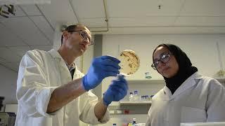 UWC - Institute for Microbial Biotechnology and Metagenomics (IMBM) - Laboratory Profile