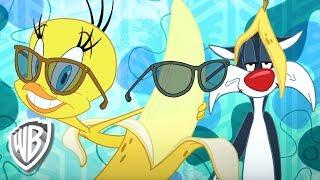 Луни Тюнз | Твити поет песню «Желтая птичка» | WB Kids