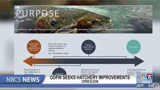 Oregon Department of Fish and Wildlife seeks to improve fish hatcheries