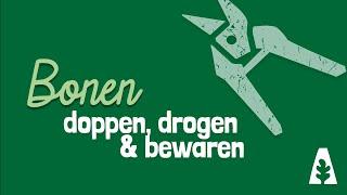 Stadstuinieren - Bonen doppen, drogen & bewaren