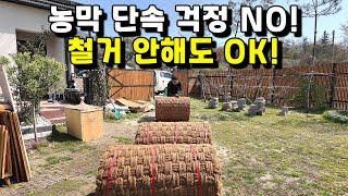 농막 단속 걱정 NO! 철거 안해도 OK!ㅣ정원관리ㅣ야자매트ㅣ불법농막ㅣdiyㅣ코코넛매트ㅣ천연매트ㅣ야자롤매트ㅣ초록길ㅣ세줄매트ㅣ귀농귀촌ㅣ전원주택ㅣ전원생활ㅣ귀촌부부ㅣ청년농부ㅣ시골집