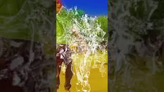 beta_ladua_hai_ham_best notanki fani  comedi#youtubeshorts #comedi#viral #abhiraj ️️️️