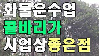 [콜바리 좋은점]영업용 화물차 사업상 좋은 진짜 이유 1톤용달 3.5톤 5톤 트럭 화물 트럭커 초보 노하우 배우기 매출 일지 수익 올리기 트러커 기초