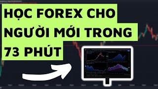 HỌC FOREX CHO NGƯỜI MỚI BẮT ĐẦU THẬT ĐƠN GIẢN