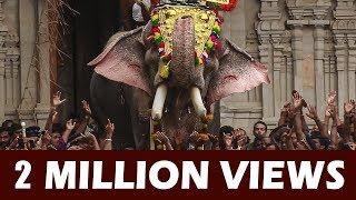 Thechikottukavu Ramachandran Mass Entry at Thrissur Pooram - 4K Video ARN MEDIA