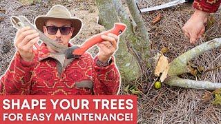 Fig Tree Shaping Secrets Revealed | How to Prune and Cut