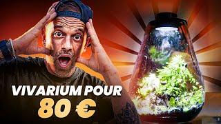 UN MINI TERRARIUM PAS CHER QUAND T’AS PAS DE PLACE  ! - TOOPET