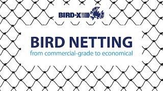 Bird Netting Solutions: Professional-Grade to Economical