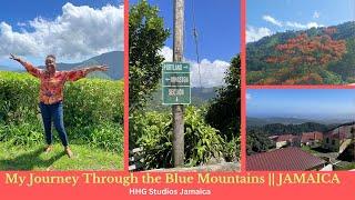 My Journey Through The Blue Mountains || JAMAICA