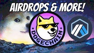 Called Dogechain Token Pump! Potential Arbitrum Airdrop Opportunity!