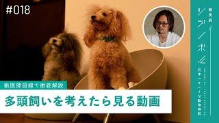 【はじめての多頭飼い】年齢差｜性別｜犬種│しつけなど注意点を獣医師が解説【獣医師ツジノボル】