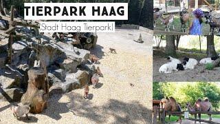 Tierpark Haag (Stadt Haag Tierpark)