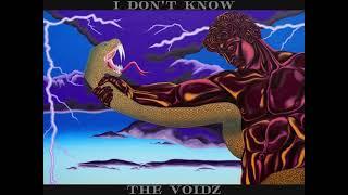 The Voidz - I Don't Know [B-SIDE DEMO]