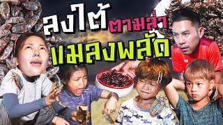 หา“แมลงพลัด” แบบกระหน่ำ ของกินประจำฤดูของชาวใต้ !!  | กุมารTravel EP.283