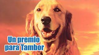 Un premio para Tambor (2000) | Película Completa en Español | Ron Perlman | Randy Travis