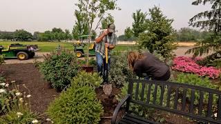 Planting a Bunch of Echinacea, Asters & a Serviceberry Tree!  // Garden Answer