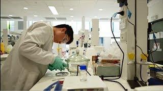 School of Mathematical and Physical Sciences, University of Technology Sydney