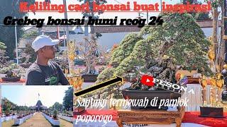 Keliling Cari  Pohon Buat Inspirasi Di Pamlok Ponorogo#Best in slow diraih oleh bonsai santigi