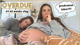 OVERDUE PREGNANCY VLOG | 41 to 42 weeks waiting for baby number 2!