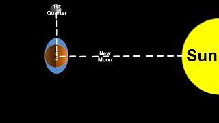 Space Science Tutorial: Spring and Neap Tides