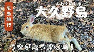 【Hiroshima/JAPAN】Rabbit island in HiroshimaShow you many cute rabbits!