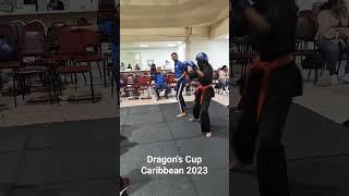 Sparring Prep - Dragon's Cup Caribbean 2023