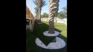 Green Life landscaping Works L.L.C Dubai UAE Project 701